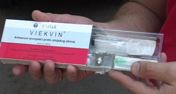 Upozorenje doktora iz Sarajeva: U BiH i regiji nema seruma protiv ugriza zmija otrovnica | Frontal